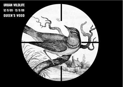 Urban wildlife invite front
